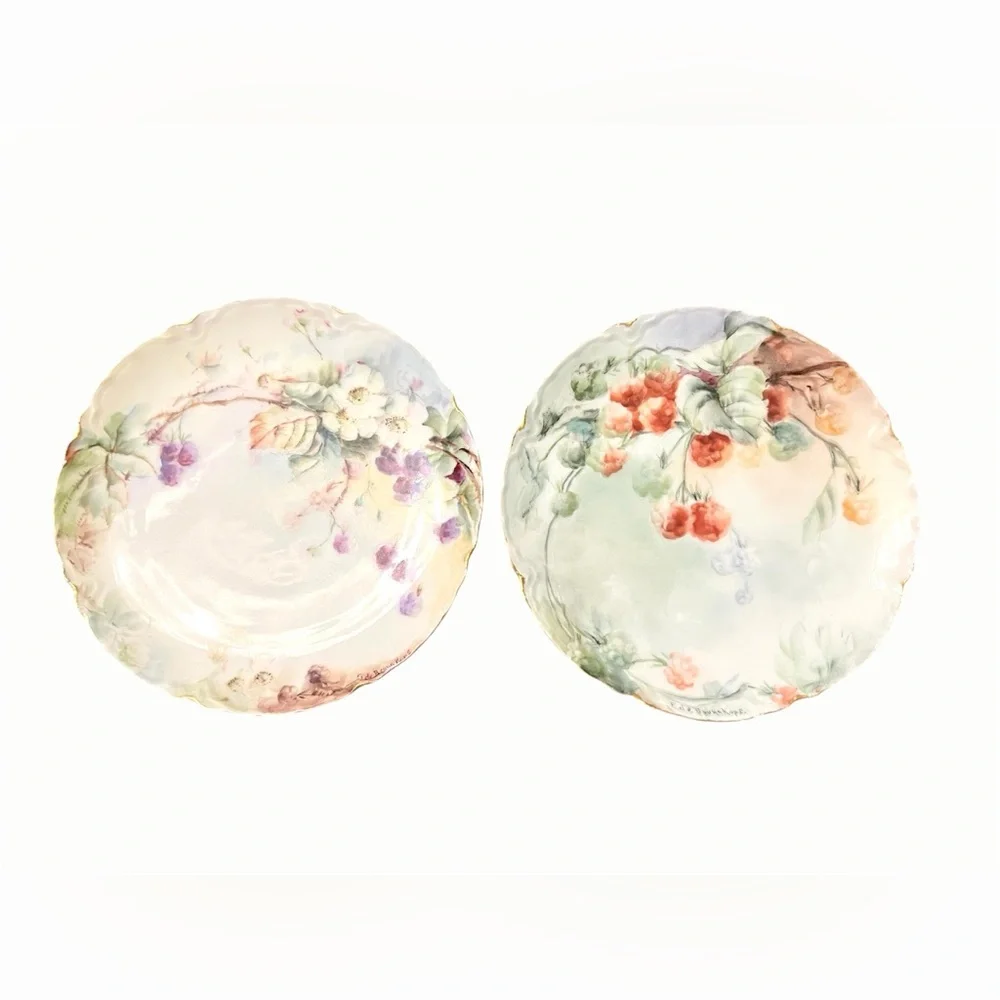 Haviland France Limoges Porcelain Decor Plates - Early 1900s